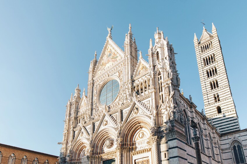 Tuscany Experience In Pisa, Siena, San Gimignano & Chianti