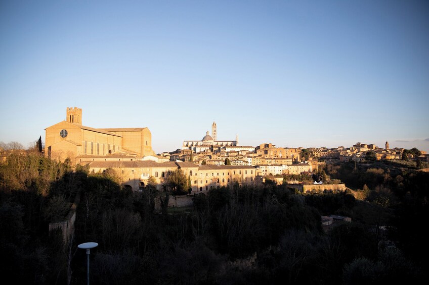 Tuscany Experience In Pisa, Siena, San Gimignano & Chianti