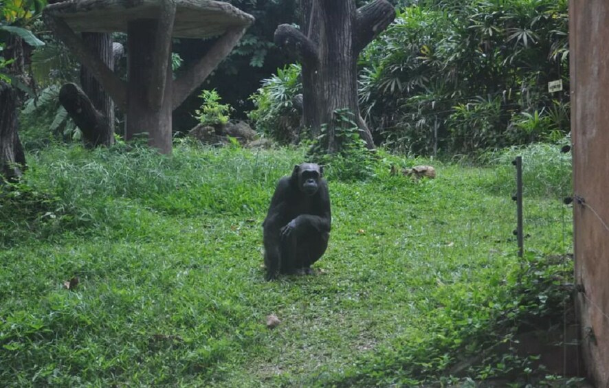 Zoo Melaka