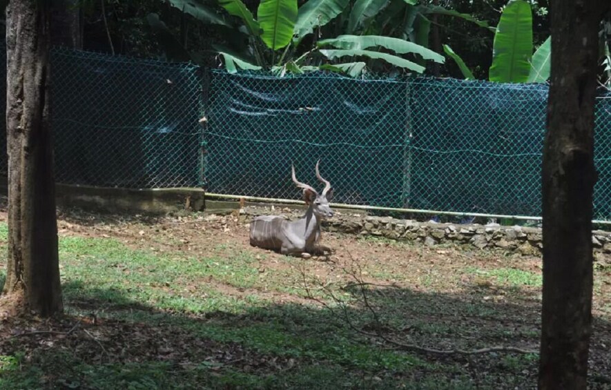 Zoo Melaka