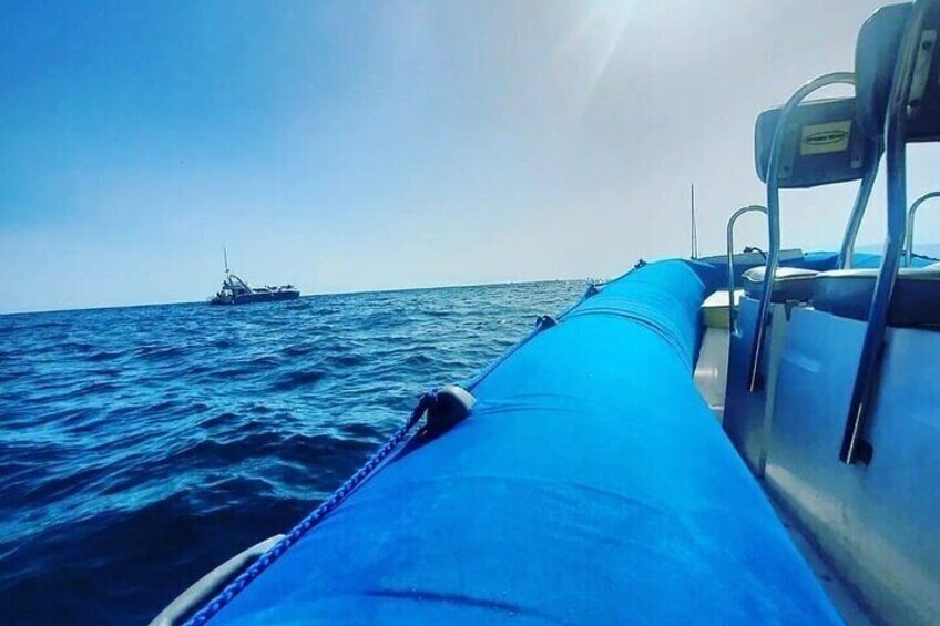 SEA SAFARI. to Masca, Dolphins, Whales, snorkeling, snack, drink, 3h speedboat