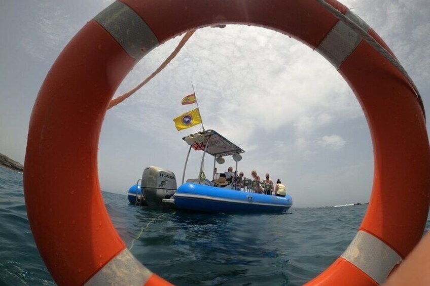 SEA SAFARI. to Masca, Dolphins, Whales, snorkeling, snack, drink, 3h speedboat