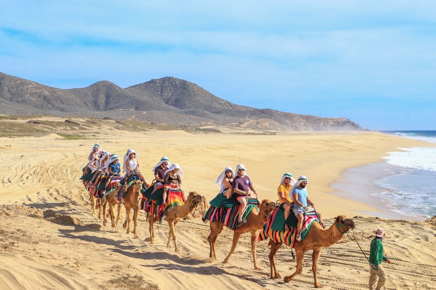 Los Cabos Combo: ATV + Horses