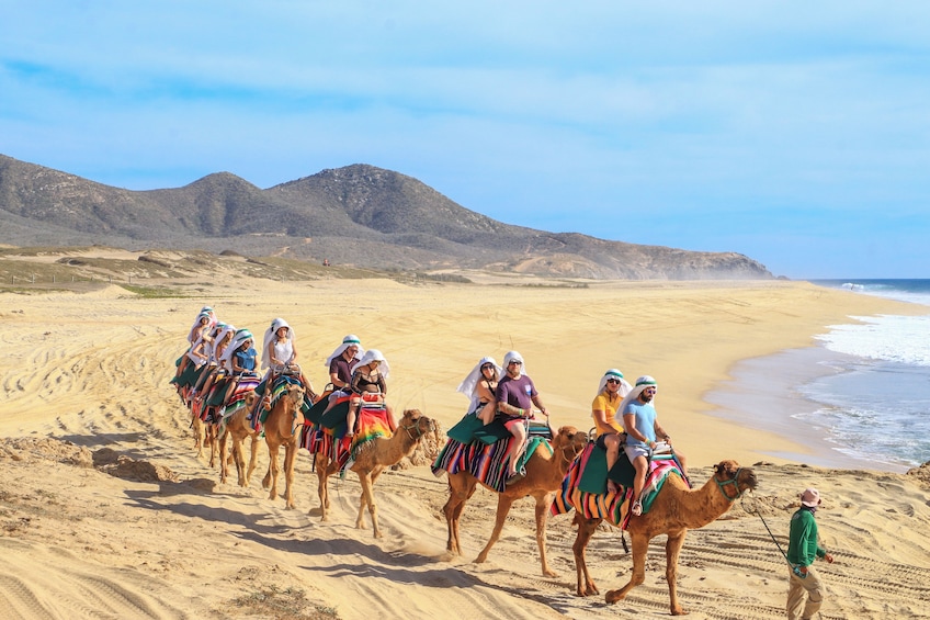 Los Cabos Combo: ATV + Horses