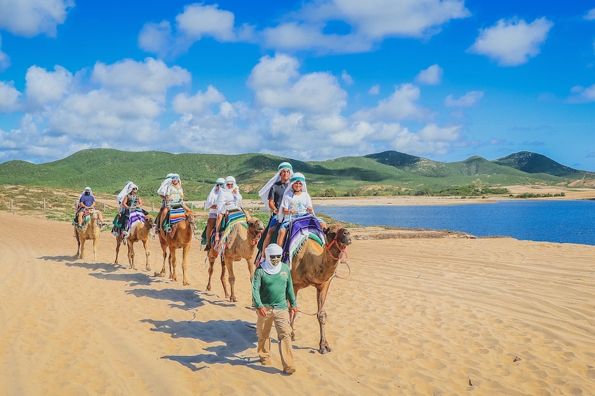 Los Cabos Combo: ATV + Horses