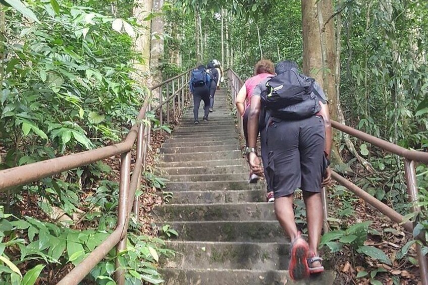 Templer Park and Kanching Waterfall Nature Tour 