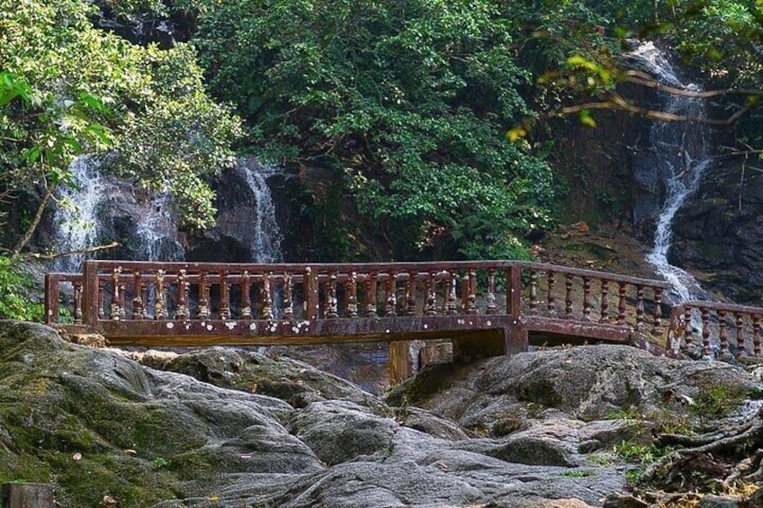 Templer Park and Kanching Waterfall Nature Tour 