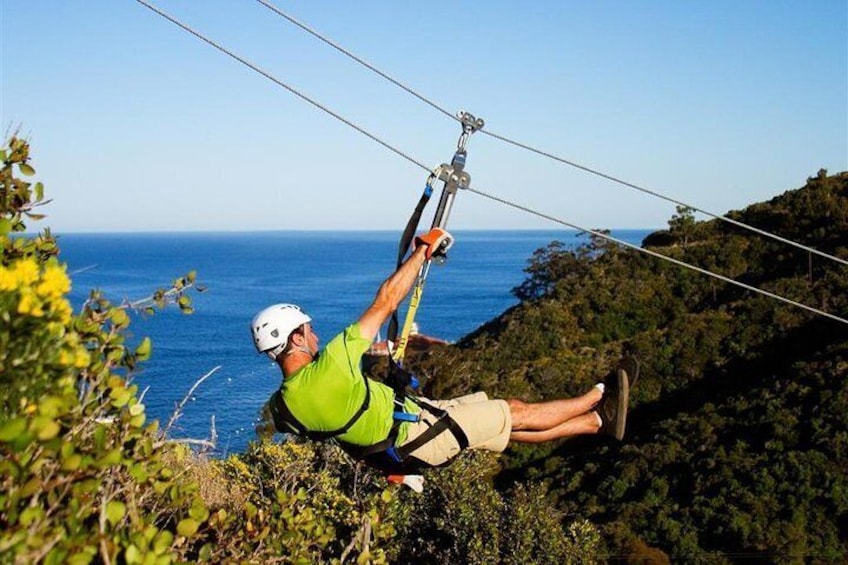 Catalina Island Day Trip from Los Angeles with Zipline Adventure