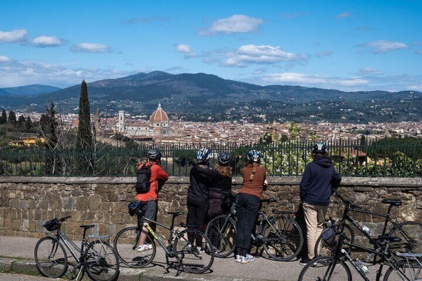 view of Florence from above