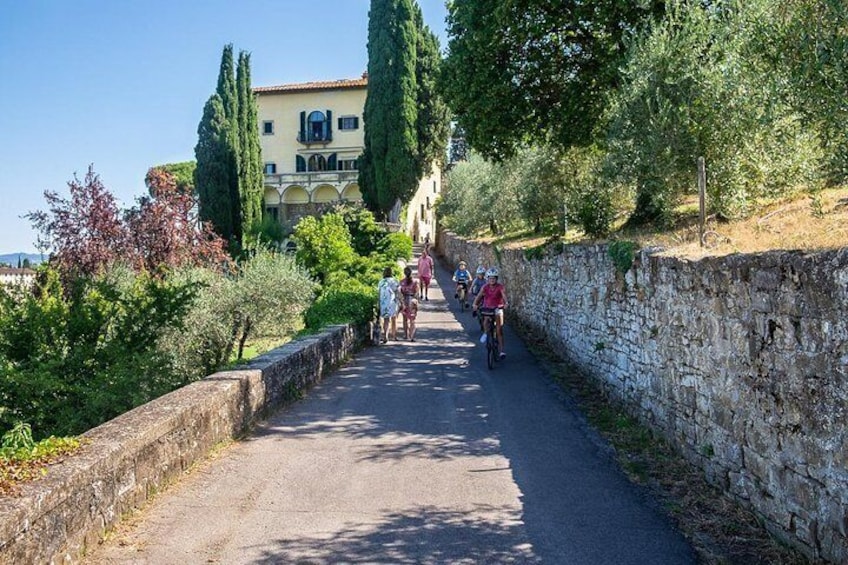Explore tucked away Tuscany hills in just half-day!