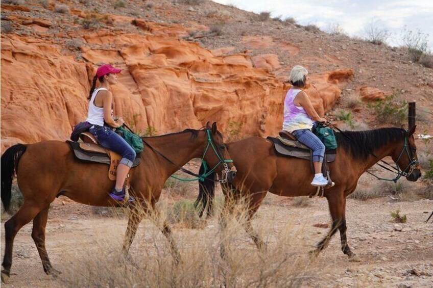 Sunset Horseback Riding Adventure with BBQ Dinner
