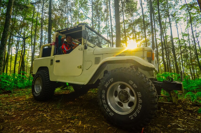 Mount Batur Sunrise Trekking by Bali Volcano Jeep