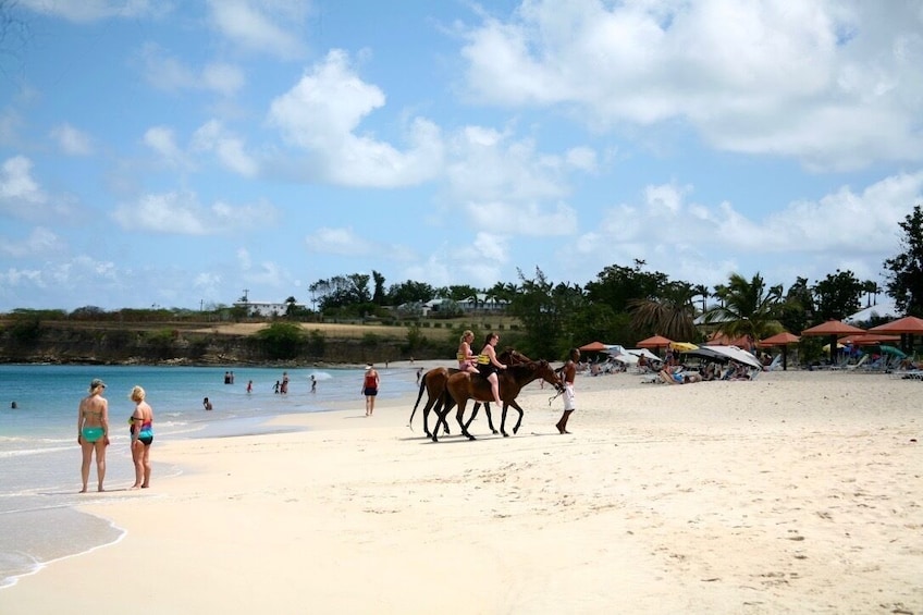 Horseback Ride & Runaway Beach Experience