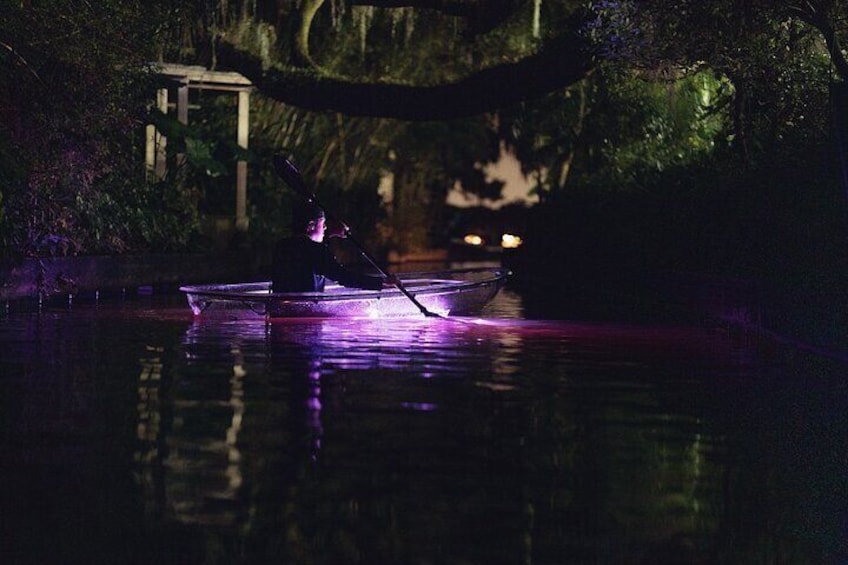 Clear Kayak Glow in the Dark Tour Through Winter Park