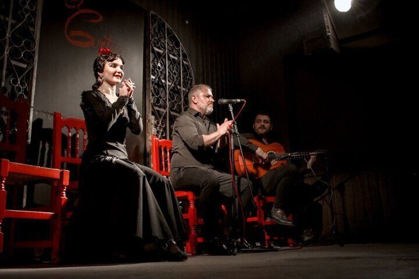 Local Flamenco Show with dinner at El Cortijo