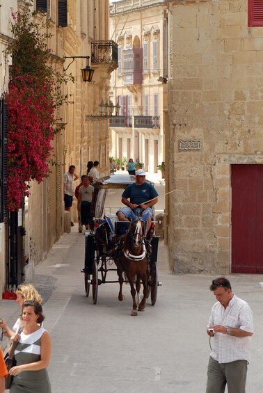 Highlights of Malta with Lunch 