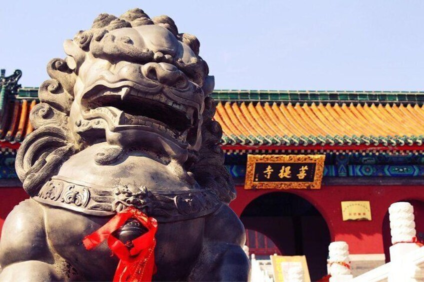 Shaolin Temple