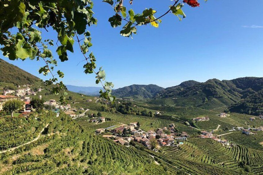 Stunning view of the Prosecco Hills