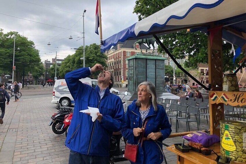 Visit the Girl with the Pearl Earing, The Hague & Delft City - Private Day Tour