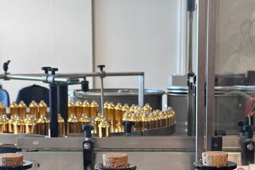Guided tour of the perfume factory Fragonard 