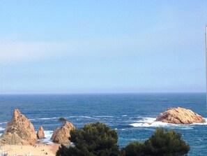 Beach/ocean view