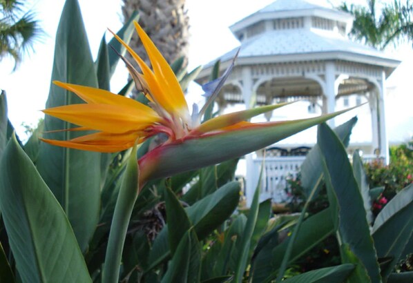 Gazebo