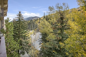 Vista del balcón