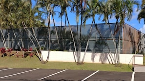 Tennis court