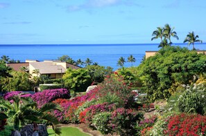 Beach/ocean view
