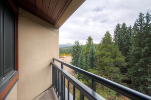 Vista dalla camera