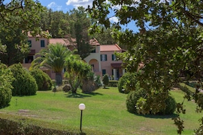 Trädgård