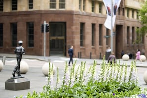 Utsikt mot landet från boendet