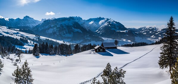 Snow and ski sports