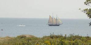 Vista dalla struttura