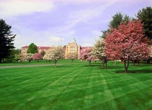 Property grounds