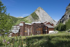 Trädgård