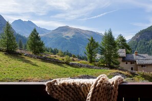 Vista desde la habitación