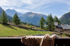 Vista desde la habitación