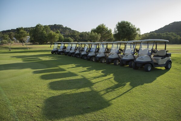 Golfbil