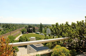 Vista dalla struttura