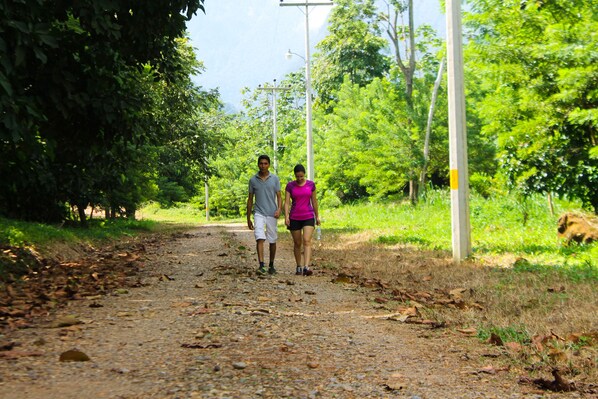 Vandring