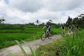 Cykling