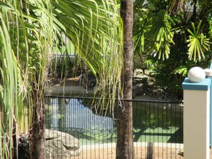Natural pool