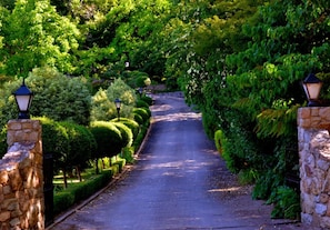 Garden view