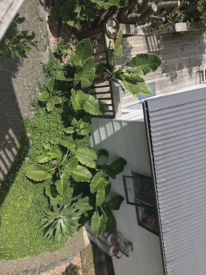 Blick auf den Garten