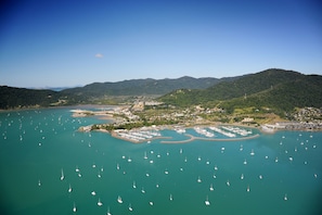 Helicopter/plane tours
