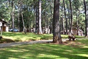 Boendeområde