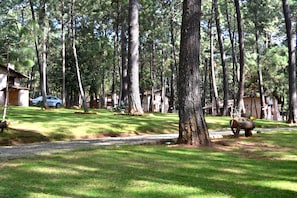 Boendeområde