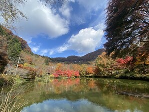 Jardines del alojamiento