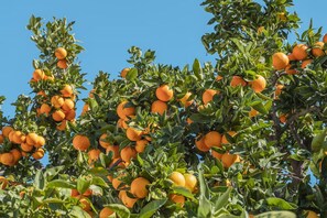 Εξωτερικός χώρος καταλύματος